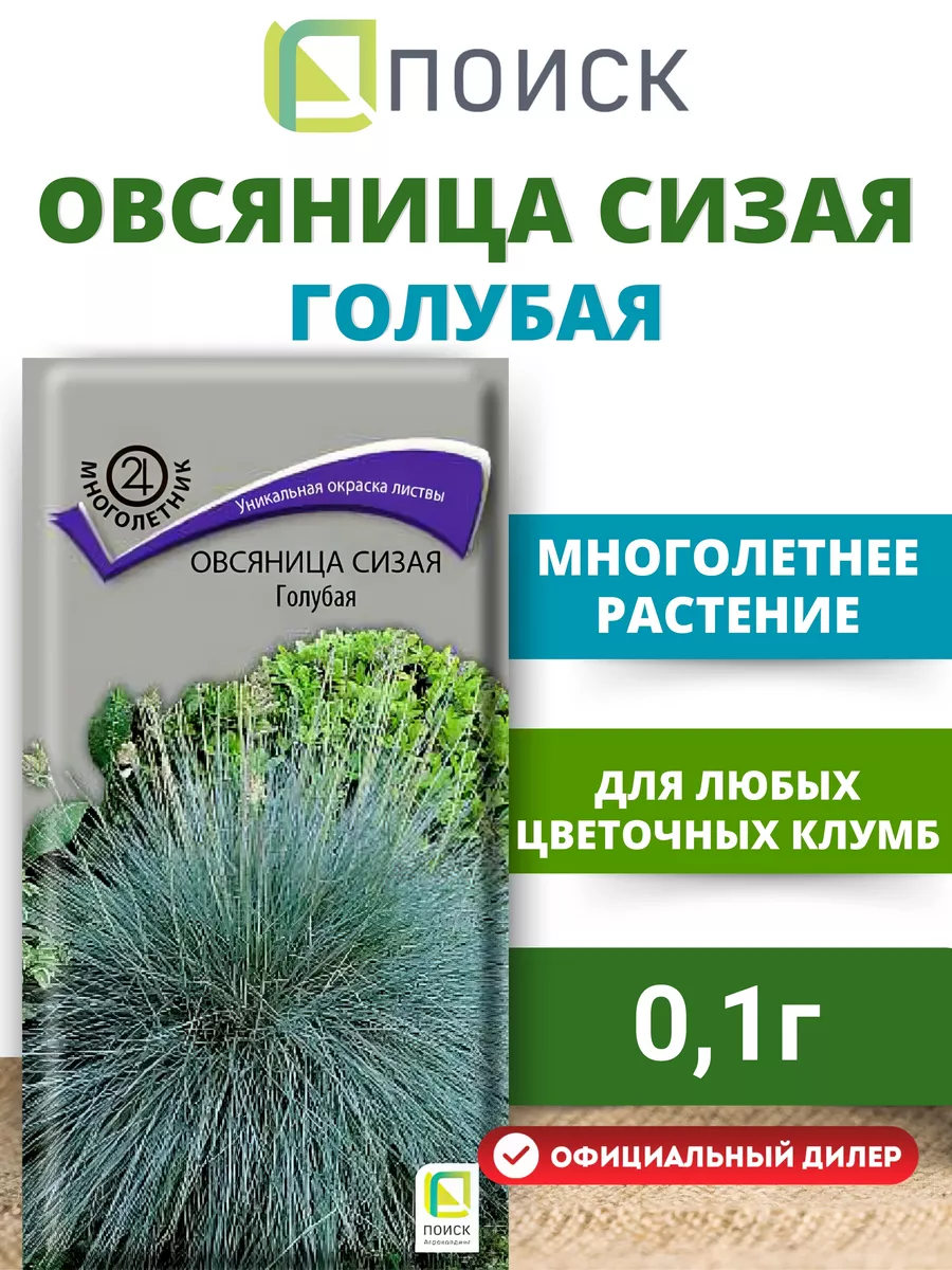 Семена многолетняя трава Овсяница сизая Голубая 0,1 гр ПОИСК 12178567  купить в интернет-магазине Wildberries