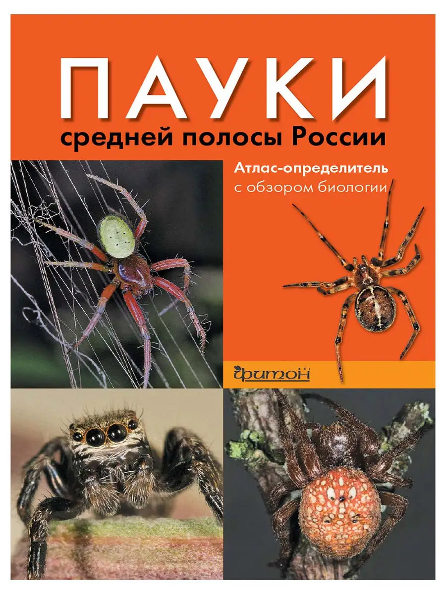 Пауки средней полосы России. Атлас-определитель с обзором биологии  Издательство Фитон XXI 12180938 купить в интернет-магазине Wildberries