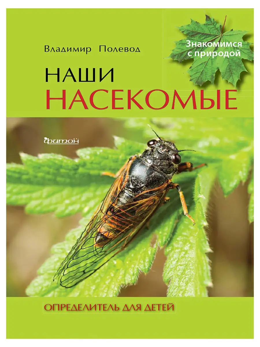 Наши насекомые. Определитель для детей Издательство Фитон XXI 12180940  купить в интернет-магазине Wildberries