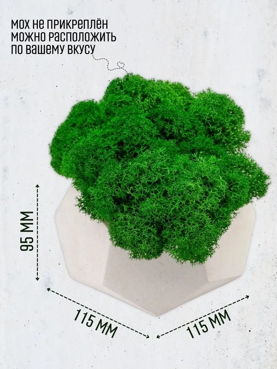 Искусственные растения (мох) в кашпо. Цветы для декора. OKTAUR. 12208495  купить в интернет-магазине Wildberries