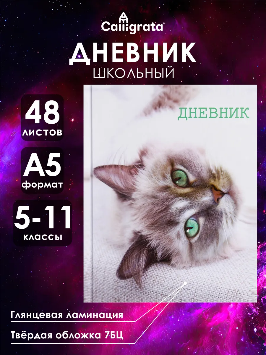 Дневник школьный для 5-11 класса 