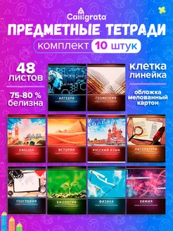 Комплект предметных тетрадей 48 листов, 10 штук Calligrata 12209450 купить за 243 ₽ в интернет-магазине Wildberries