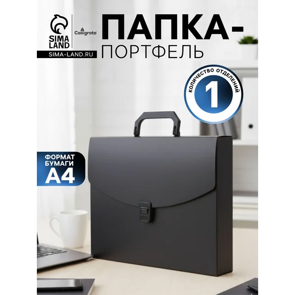 Папка-портфель А4, 1 отделение, черный