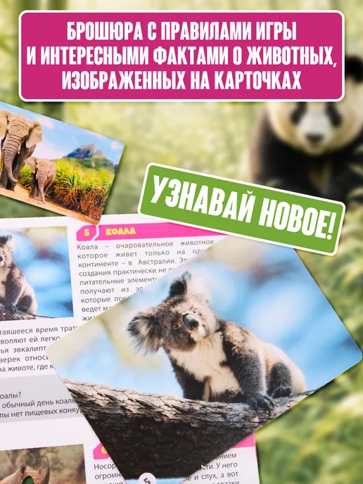 ДЕСЯТОЕ КОРОЛЕВСТВО Настольная игра для детей МЕМО "Мир животных", белый, фото 4