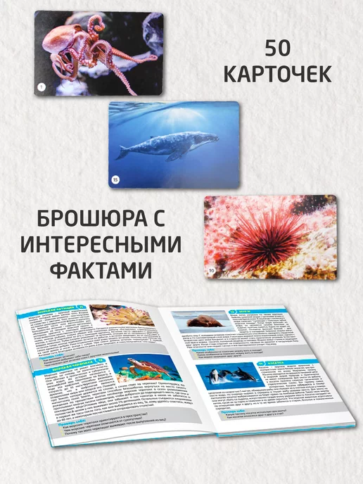 ДЕСЯТОЕ КОРОЛЕВСТВО Настольная игра для детей МЕМО "Водный мир", голубой, фото 3