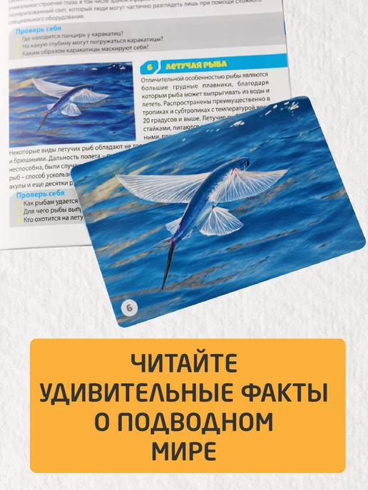 ДЕСЯТОЕ КОРОЛЕВСТВО Настольная игра для детей МЕМО "Водный мир", голубой, фото 5