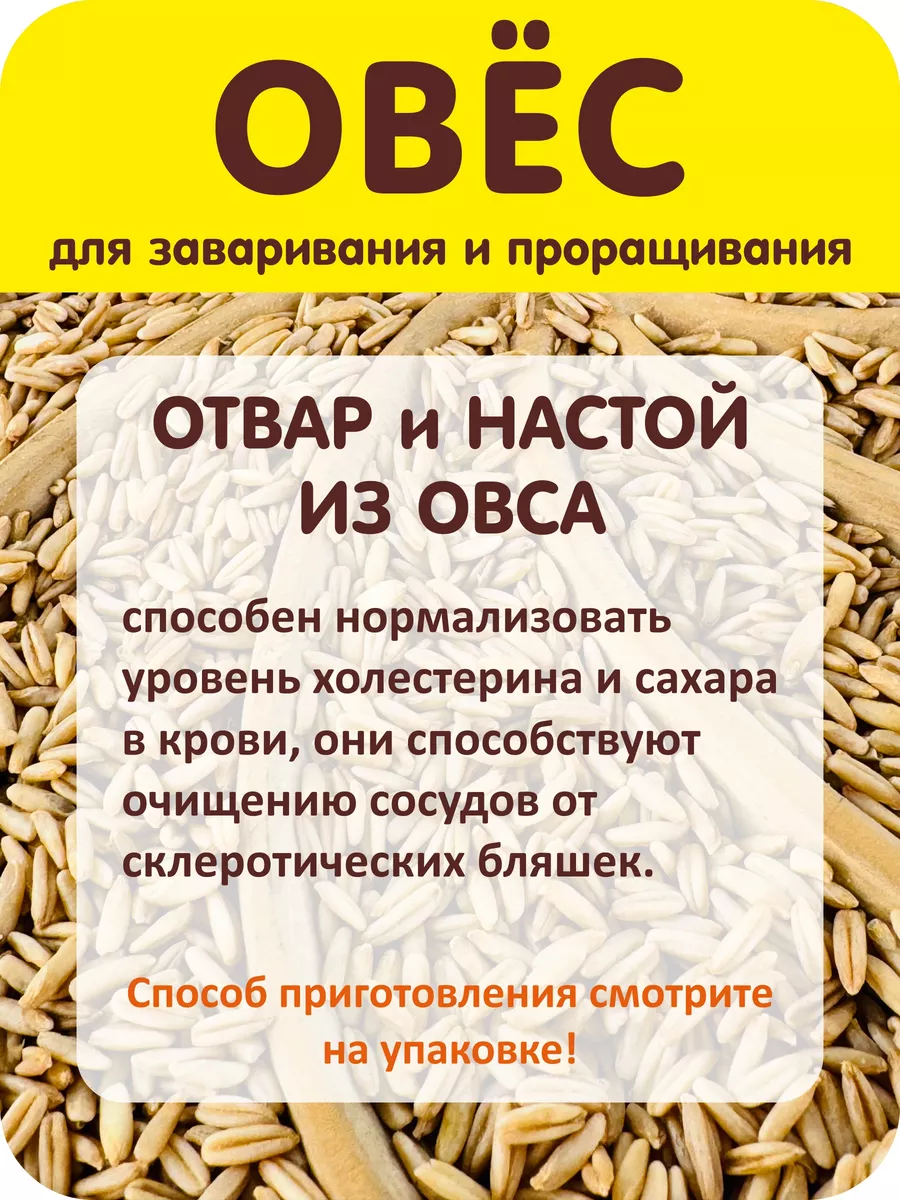 Овес для заваривания и проращивания 800 гр. Житница здоровья 12329801  купить за 179 ₽ в интернет-магазине Wildberries