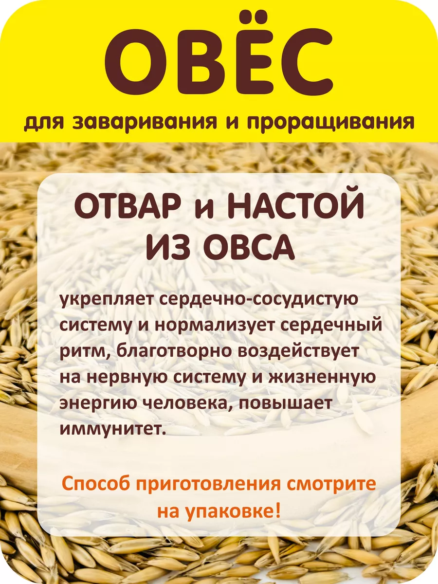 Овес для заваривания и проращивания 800 гр. Житница здоровья 12329801  купить за 179 ₽ в интернет-магазине Wildberries