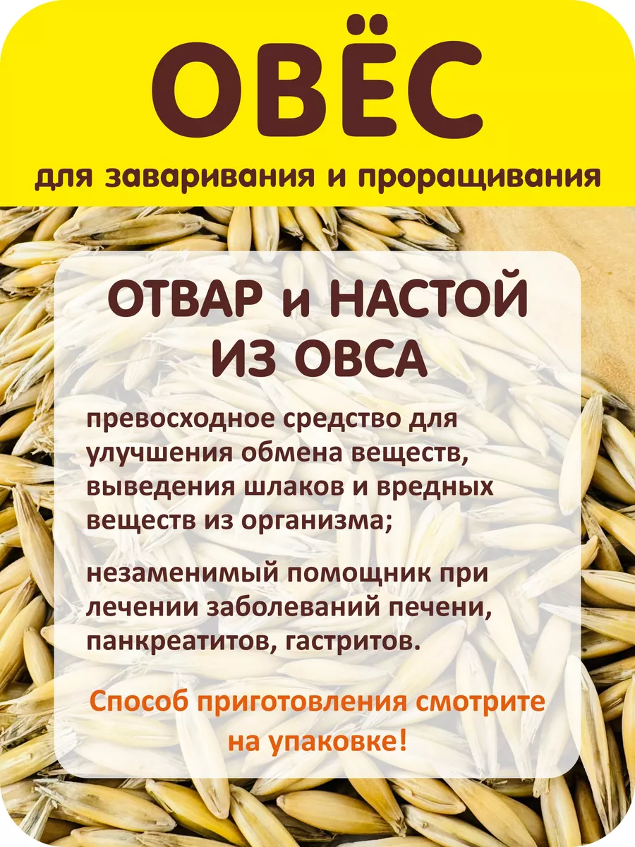 Овес для заваривания и проращивания 800 гр. Житница здоровья 12329801  купить за 179 ₽ в интернет-магазине Wildberries