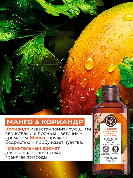 Yves Rocher Гель для душа Манго и Кориандр, 200 мл, 200 мл, фото 2