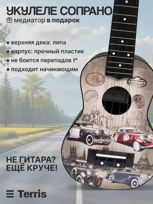 Terris Укулеле сопрано PLUS 70 CARS, серый