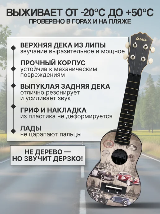 Terris Укулеле сопрано PLUS 70 CARS, серый, фото 2