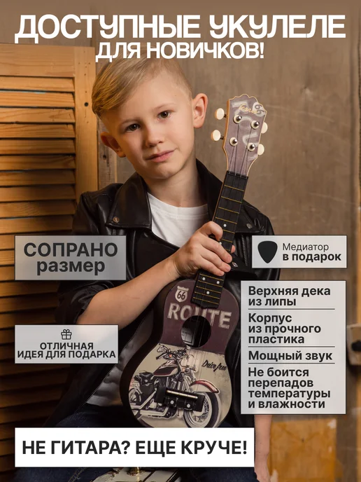 Terris Укулеле сопрано PLUS-70 MOTO, серый