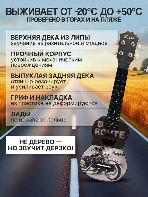 Terris Укулеле сопрано PLUS-70 MOTO, серый, фото 2