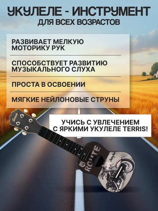 Terris Укулеле сопрано PLUS-70 MOTO, серый, фото 3