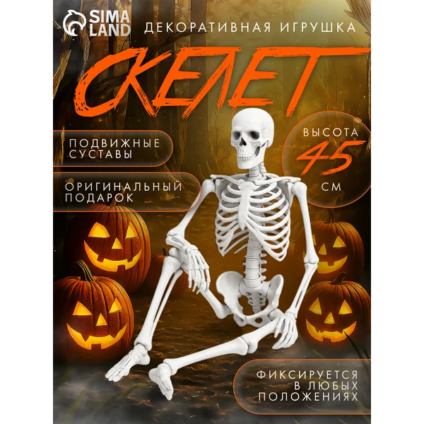 Макет Скелет человека