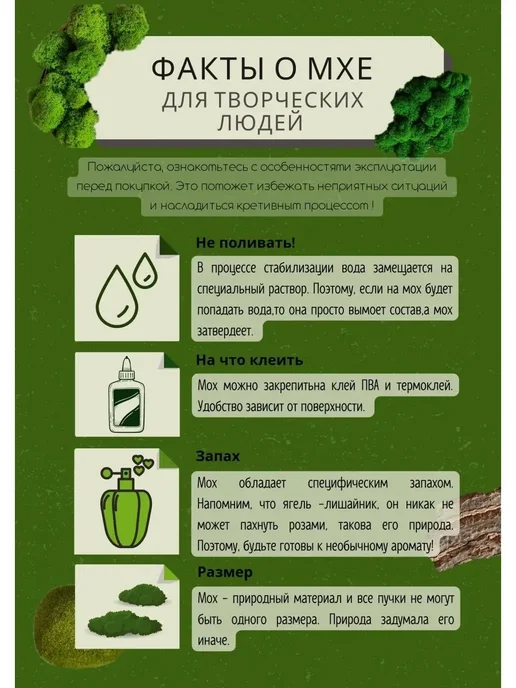 Magia Leggera Мох стабилизированный для кашпо и озеленения, вариант, фото 2