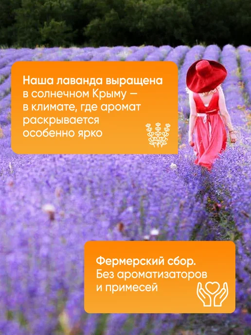 Травы Горного Крыма Сушеная лаванда фиточай травяной сбор, вариант, фото 5