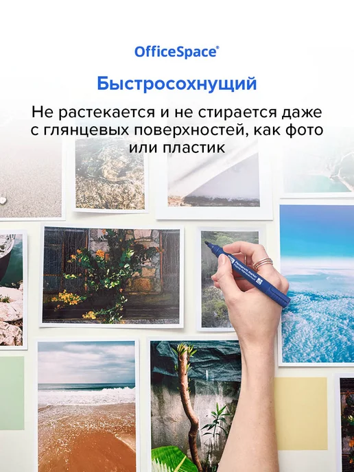 OfficeSpace Набор перманентных маркеров, 12 штук, синий, фото 2