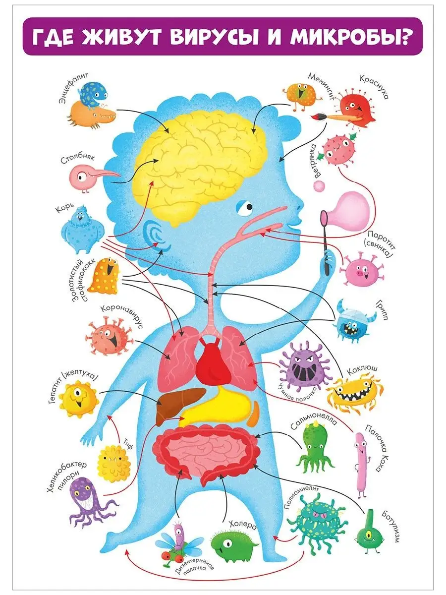 Вирусы и микробы. 10 плакатов Издательство CLEVER 12532903 купить в  интернет-магазине Wildberries
