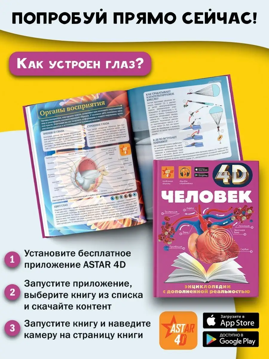 Человек 4D энциклопедия Издательство АСТ 12534469 купить за 1 203 ₽ в  интернет-магазине Wildberries