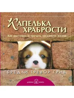 КАПЕЛЬКА ХРАБРОСТИ Как достойно встречать трудности Б.Т Грив Добрая книга 12594201 купить за 389 ₽ в интернет-магазине Wildberries