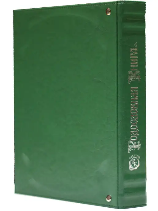 Книжный дом Бекетова Родословная книга (А4) Комби Нефрит в подарочной коробке, зеленый, фото 4