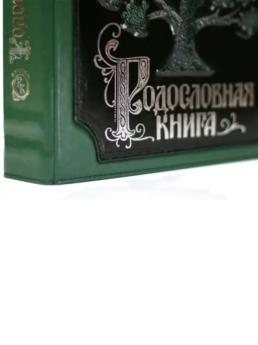 Книжный дом Бекетова Родословная книга (А4) Комби Нефрит в подарочной коробке, зеленый, фото 5