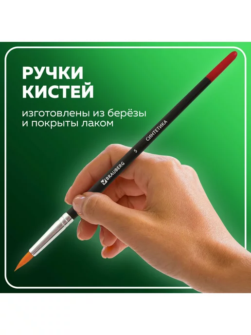 Brauberg Школьные кисти, набор 5 штук, синтетика, вариант, фото 5