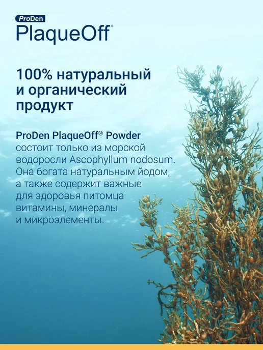 ProDen PlaqueOff Средство для профилактики зубного камня у кошек и собак 180г, 180 г, фото 5