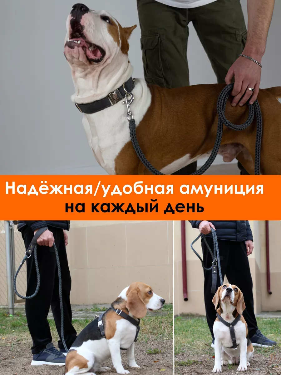 Ошейники для собак купить в интернет-магазине недорого, цена с доставкой в Москве
