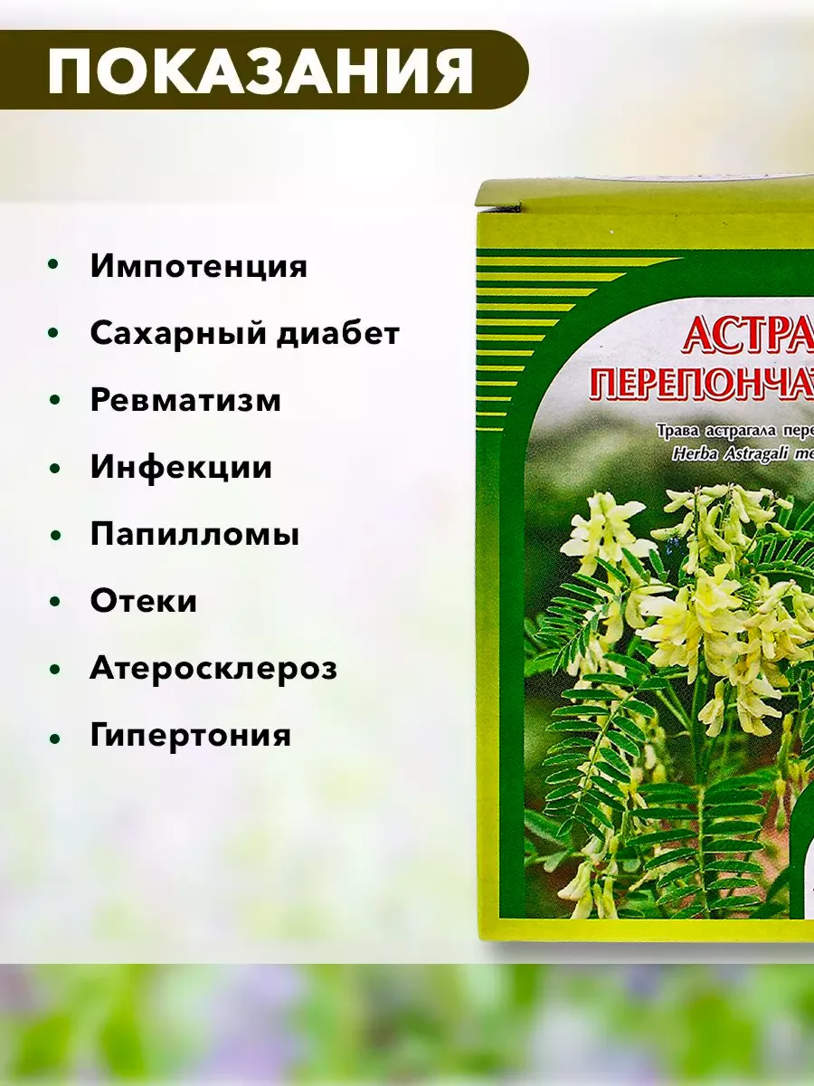 Астрагал перепончатый, травяной сбор, 50 гр. ХОРСТ 12657168 купить в  интернет-магазине Wildberries