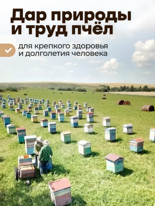Мед и Конфитюр Мед Расторопшевый 500 гр, 500 г, фото 11