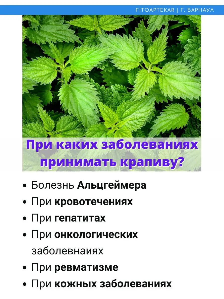 Крапива от анемии, сок 100 мл ФИТО-АПТЕКАРЬ 12693321 купить за 583 ₽ в  интернет-магазине Wildberries