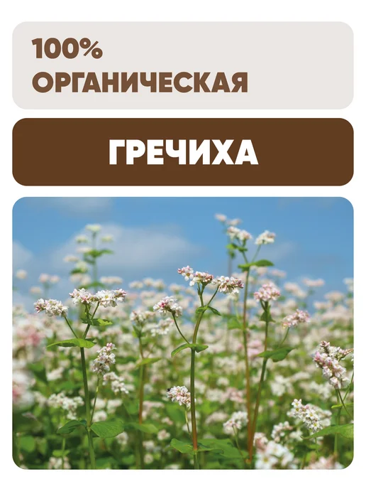 Чёрный хлеб Гречка зелёная органическая, 1 кг, 1 кг, 2 шт, фото 4
