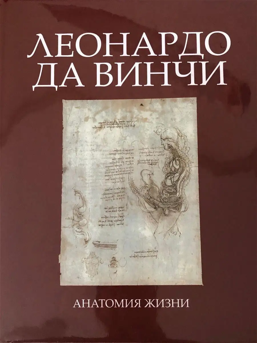 Леонардо да Винчи. Анатомия жизни МЕДпресс-информ 12766219 купить за 2 960  ₽ в интернет-магазине Wildberries