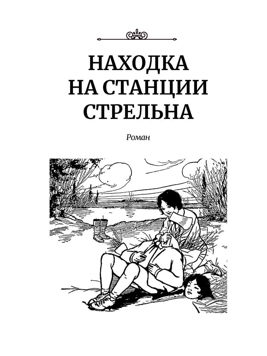 Находка на станции Стрельна / Детектив для взрослых ИД Городец 12771286  купить за 202 ₽ в интернет-магазине Wildberries