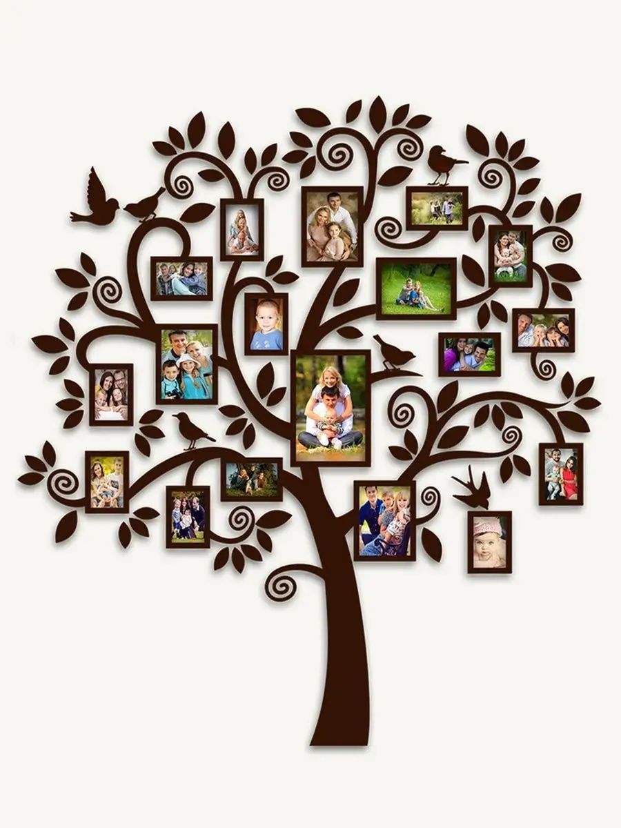 Как сделать генеалогическое дерево с семейными фотографиями