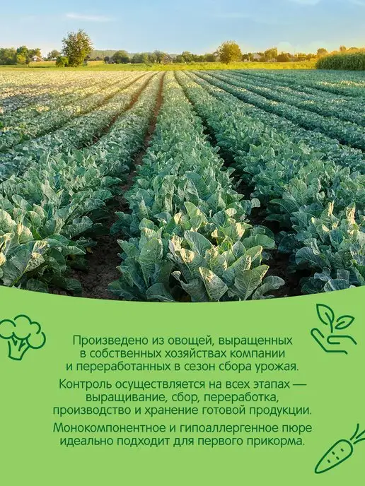 Сады Придонья Пюре из брокколи 125г, с 4 мес (18шт), 80 г, 12 шт, фото 4