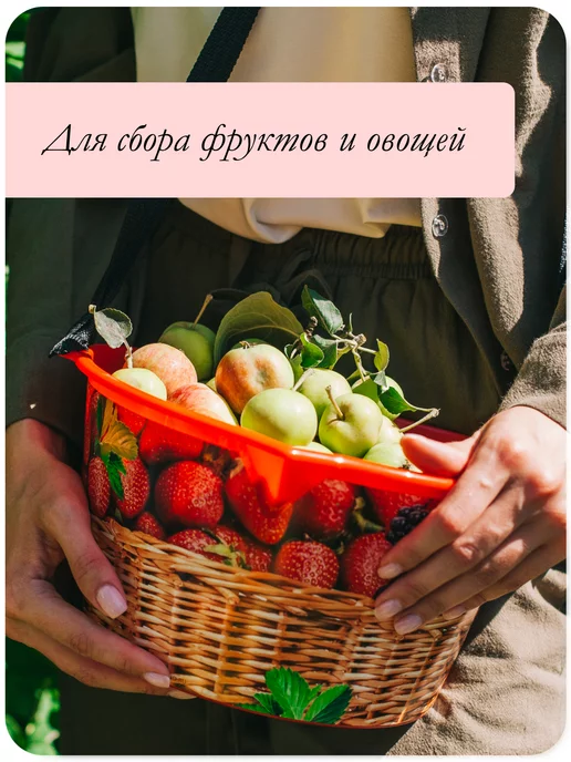 Сималенд Емкость для сбора ягод, зеленый, фото 6
