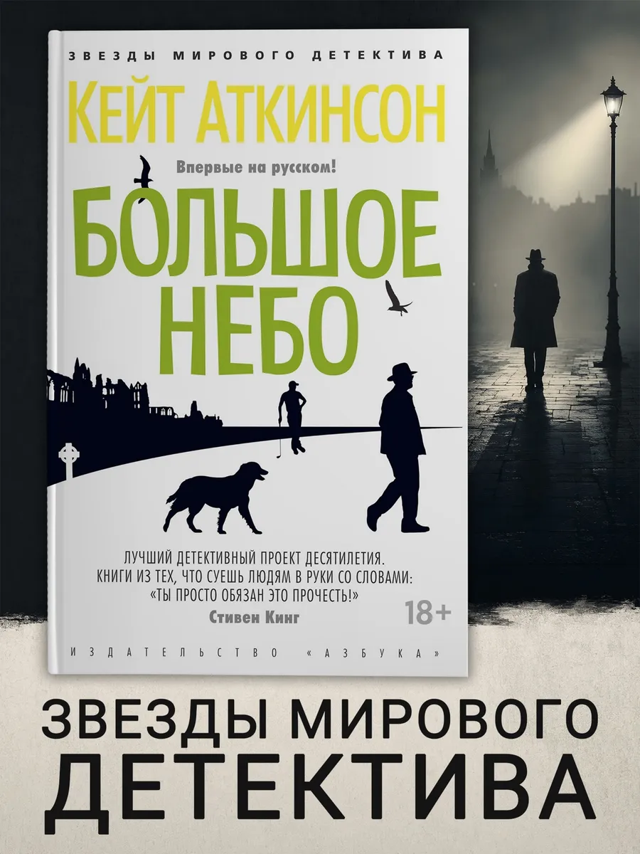 Большое небо