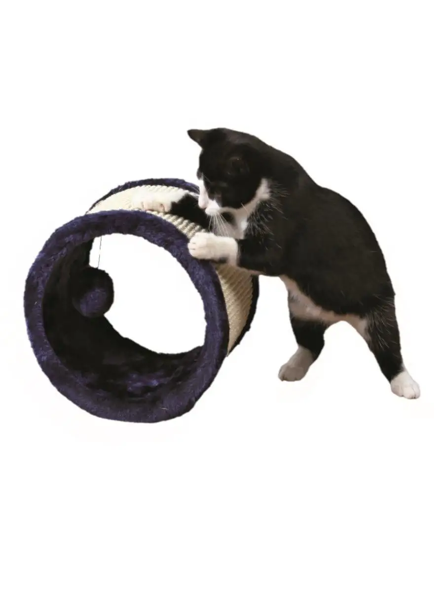 колесо для кошки размеры | Дзен