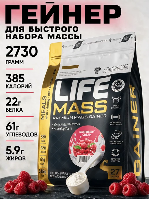 Life Protein Гейнер для быстрого набора массы, Малина 2,7кг, 2,7 кг