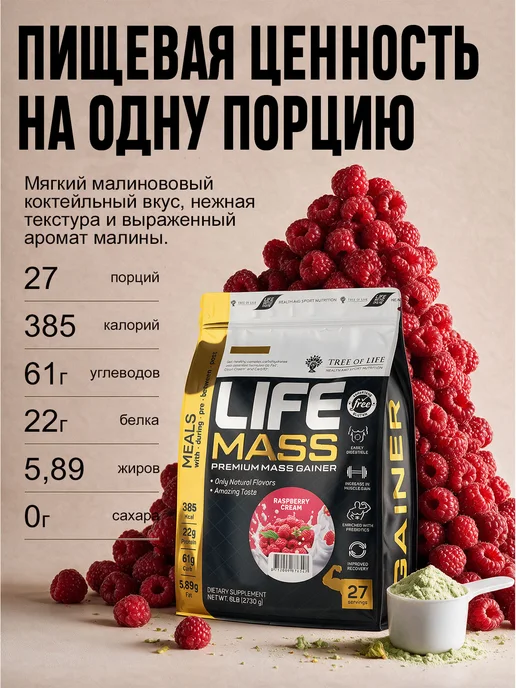 Life Protein Гейнер для быстрого набора массы, Малина 2,7кг, 2,7 кг, фото 3