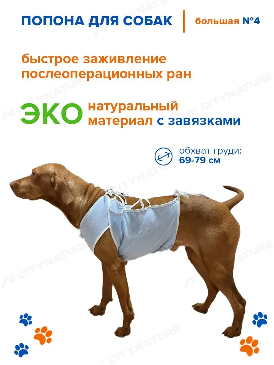 Попонка для собаки после операции своими руками (71 фото)