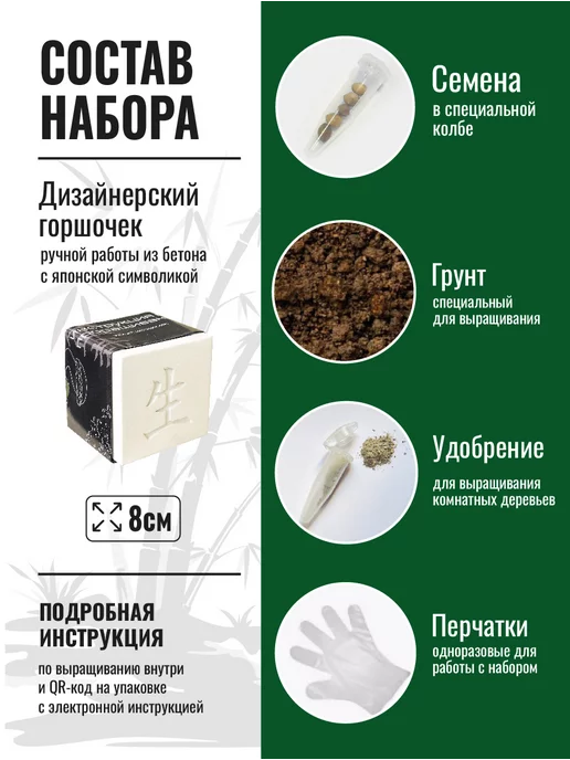 ЭкоКлуб Набор для выращивания растений бонсай Ель, вариант, фото 2