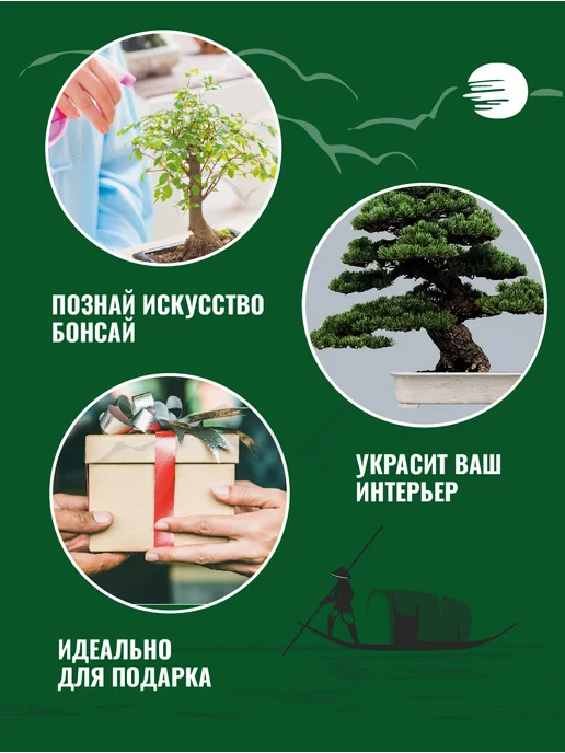 ЭкоКлуб Набор для выращивания растений бонсай Ель, вариант, фото 3