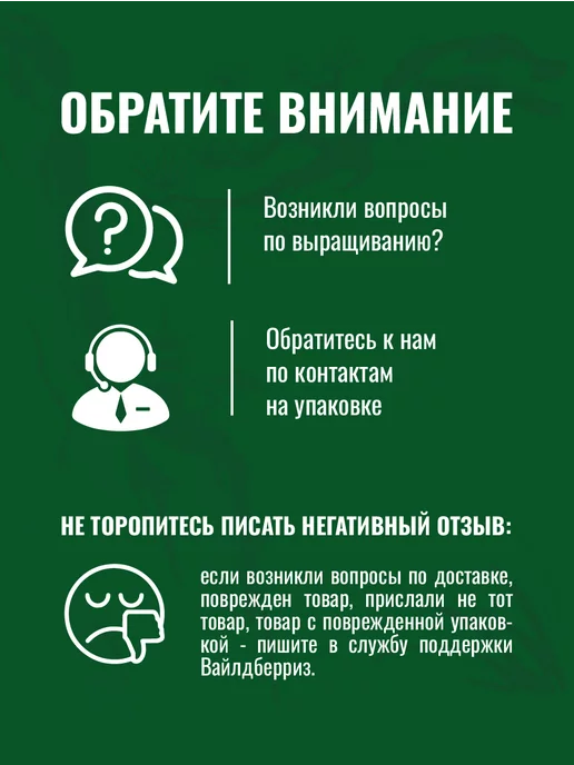 ЭкоКлуб Набор для выращивания растений бонсай Ель, вариант, фото 6