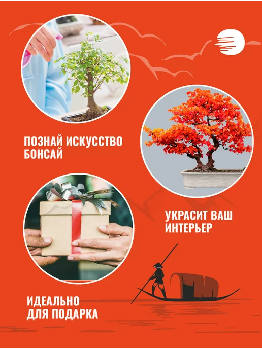 ЭкоКлуб Набор для выращивания растений бонсай Клён японский, вариант, фото 3