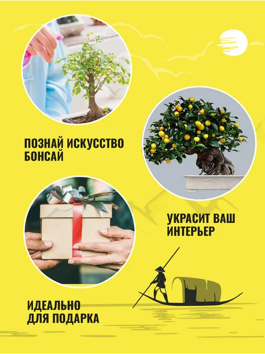 ЭкоКлуб Набор для выращивания растений бонсай Лимон, вариант, фото 3